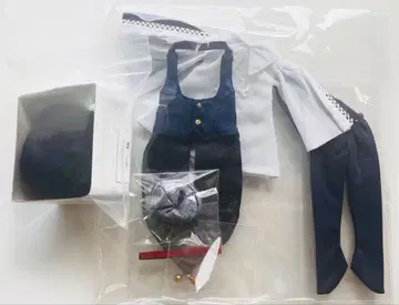 [ 미개봉 새상품 ] 유SD 제비 디폴트 의상 가발