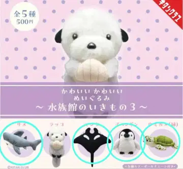 수족관 생물 3 4종류