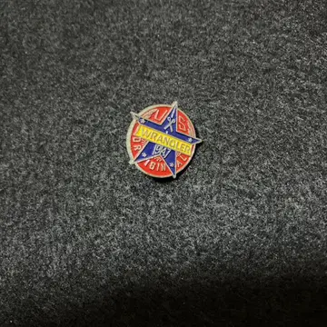 빈티지 Wrangler 랭글러 핀 배지 핀즈