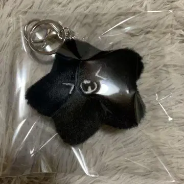 NCT127 해찬 불가사리 키링