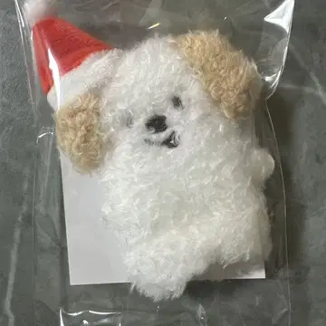 RIIZE 109 손가락 인형 키링 앤톤 몽룡이