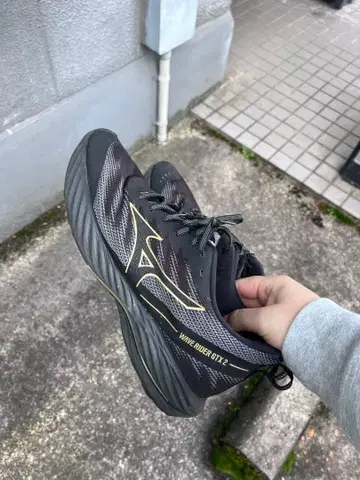 미즈노 웨이브 라이더 GTX 2 러닝화