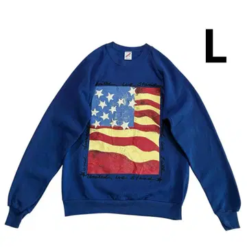 80s 90s USA제 Jerzees 성조기 프린트 맨투맨 L 파랑