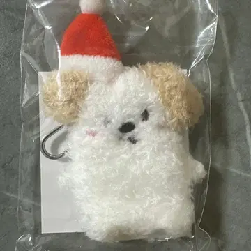 RIIZE 109 손가락 인형 키링 앤톤 몽룡이2