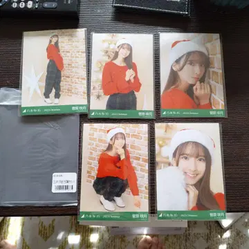 스가와라 사츠키 2022 Christmas 5장 세트