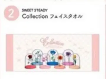 SWEET STEADY 투어 타월