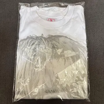 jo1 시로이와 루키 t셔츠 축제