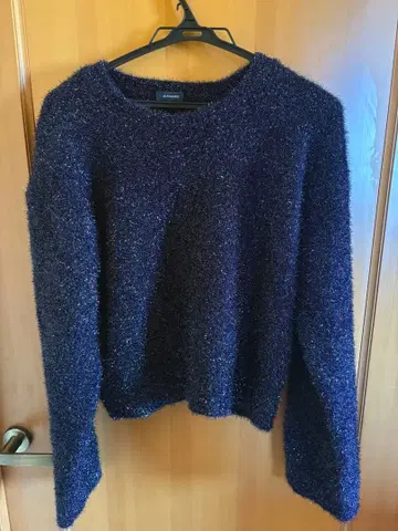 [ JEANASIS ] 글리터 필름 라메 숏 풀오버