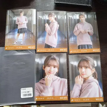 스가와라 사츠키 차도 측 5매 세트