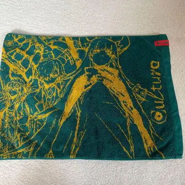 Eve 라이브 타월 아시아 투어