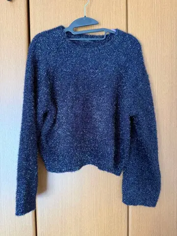 [ JEANASIS ] 글리터 필름 라메 숏 풀오버