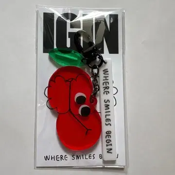 BTS JIN IGIN 키링 크리스마스 팝업 사과