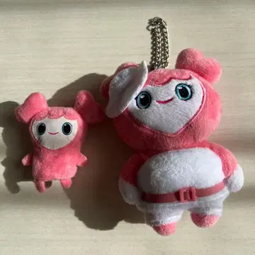 트와이스 모모짱 모블리 2종 세트