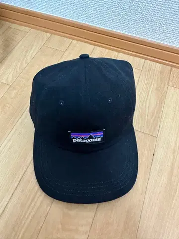 Patagonia 블랙 캡