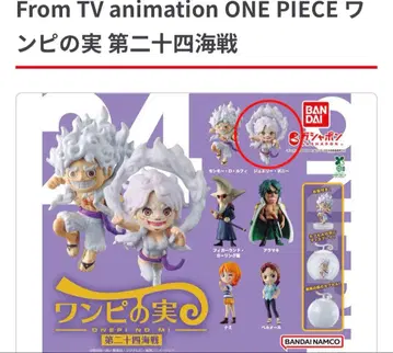 원피스 열매 제24해전 주얼리 보니