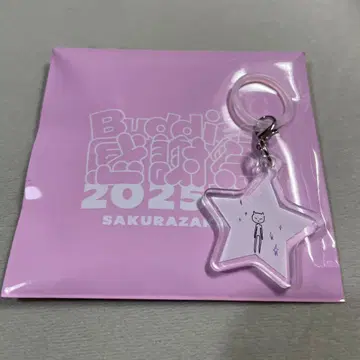 buddies 감사제 메지루시 참 후지요시 카린