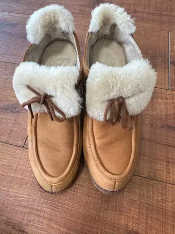 Koalabi Australia 퍼 달린 베이지 스웨이드 통굽 부츠