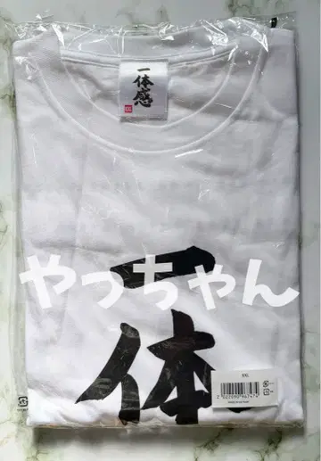 히나타자카46 4기생 [ 일체감 ] 티셔츠 XXL