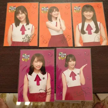 노기자카46 판타자카 학원 5장 세트