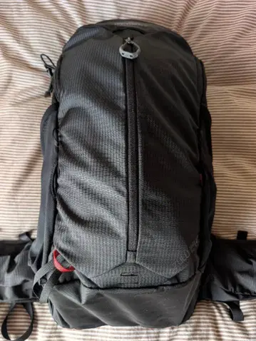 그레고리 주울 24 LT