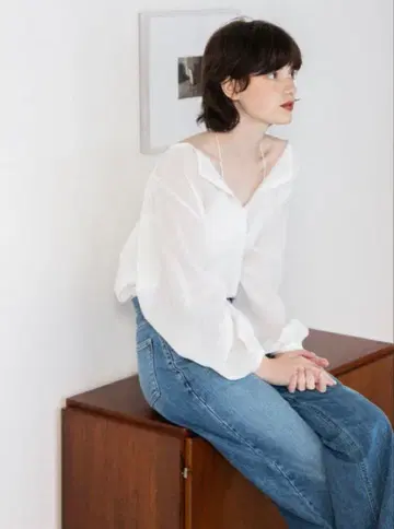 rihka sheer blouse / new day