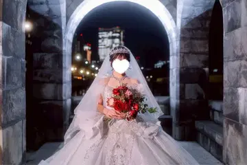 AiLE 별하늘 베일 (멜로 가공) L 사이즈