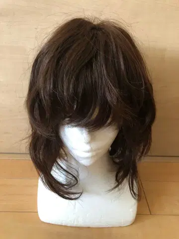 가발 FONTAINE 폰테인 정가 126,000엔