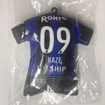 후지이 카제 파나소닉 스타디움 키링