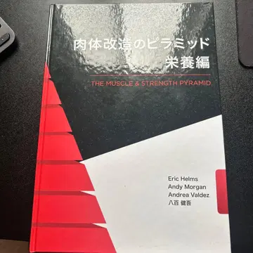 신체 개조의 피라미드 영양편