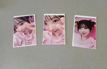 하피드로 미이히레 카세트