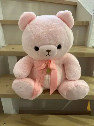 핑크색 곰 봉제 인형