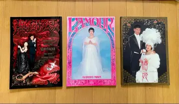 미와 아키히로 블랙 도마뱀 L'AMOUR 사랑의 팜플렛 3권 세트