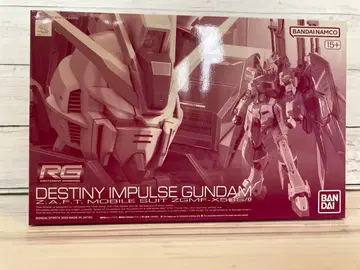 RG 데스티니 임펄스 건담