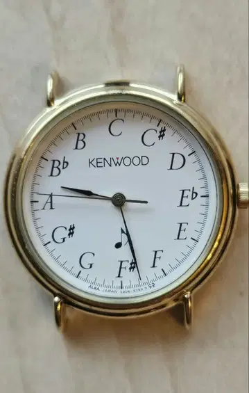 레어 KENWOOD LEZARD 쿼츠 손목시계 미확인