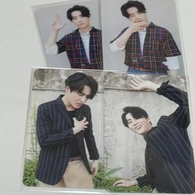 데이식스 영케이 슛미 포카 7장 일괄 앨범