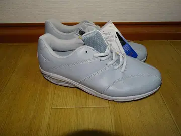 미즈노 웨이브 프로머나드 워킹화 25cm