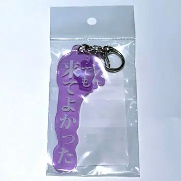 진격의 거인 JR 도카이 최애 여행 2단 아크릴 키링 아크키 애니