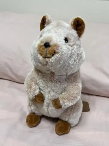 새상품 플러피 봉제 인형 쿼카 L 사이즈 택 포함