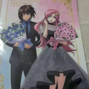 SEEDFREEDOM (꽃다발) 클리어 파일 5장 세트