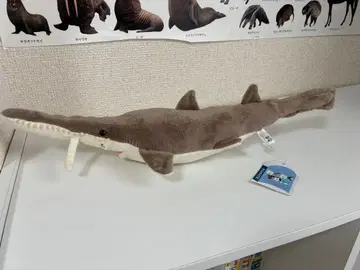 TST 어드밴스 두근두근 도감 톱상어 봉제 인형 수족관