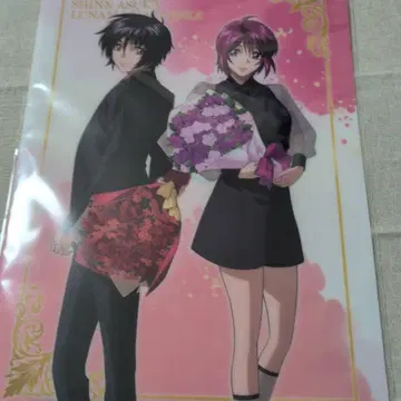 SEEDFREEDOM (꽃다발) 클리어 파일 캔뱃지