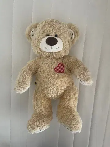 [빌드 어 베어] 챔프 테디베어