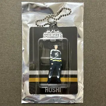 호시 아크릴 키링 HOME 2025 SEVENTEEN