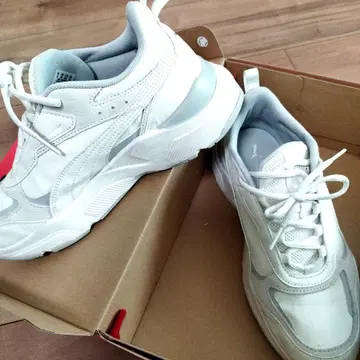 화이트 스니커즈 Soft Foam+ 25cm