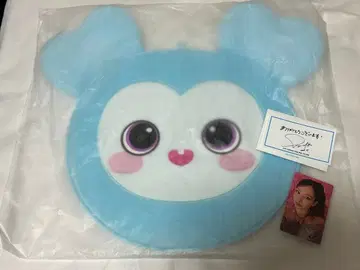 TWICE 나연 나블리 트레이딩 카드 미나 카드