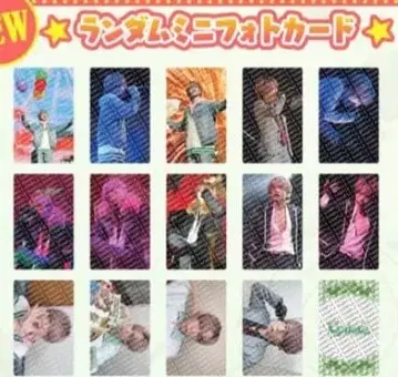 우라타누키 랜덤 미니 포토 카드