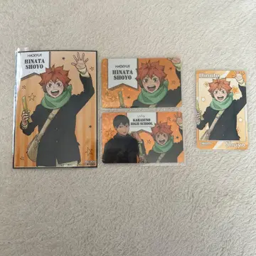 하이큐 코스모 월드 히나타 쇼요 4종 세트