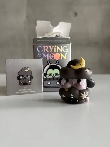 CRYING TO THE MOON THE NIGHT SKY MINI