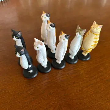 서 있는 고양이 컴플리트 5종