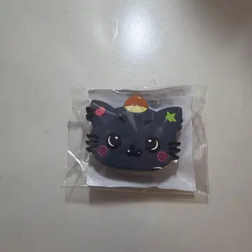 NCT WISH 리쿠 부채 액세서리